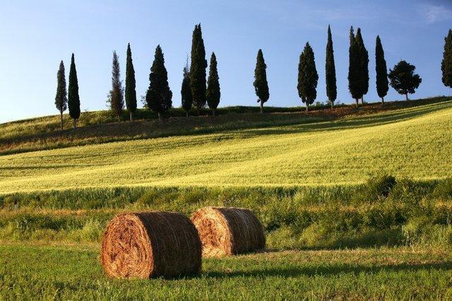 Palazzo Alle Mura Staggia エクステリア 写真